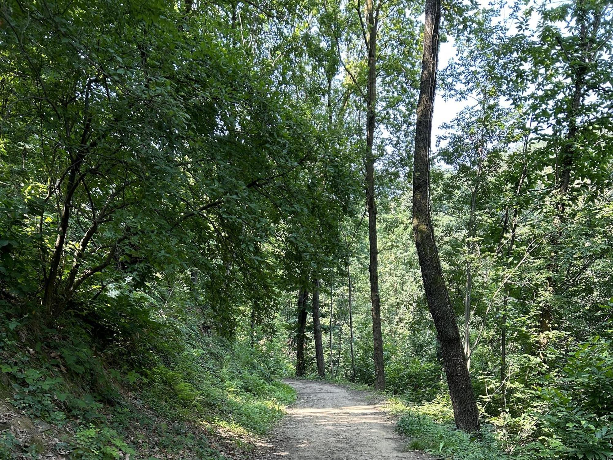 베르가모 Il Giardino Di Berbech Citta Alta - Castagno 아파트 외부 사진