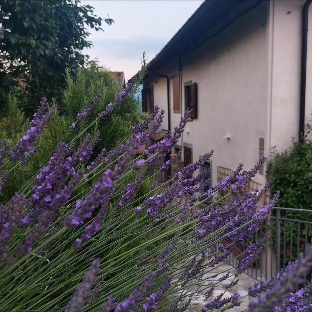 베르가모 Il Giardino Di Berbech Citta Alta - Castagno 아파트 외부 사진